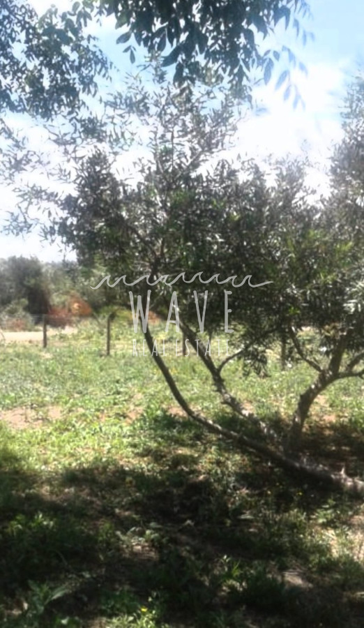 Terreno ID.1412 - Venta de Terreno de 500 m2 en zona alta del Chorro