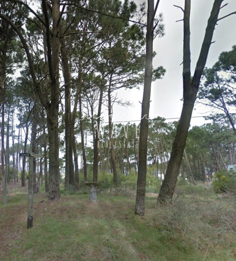 Terreno ID.4836 - OPORTUNIDAD TERRENO EN VENTA EN MONTOYA 455 M2