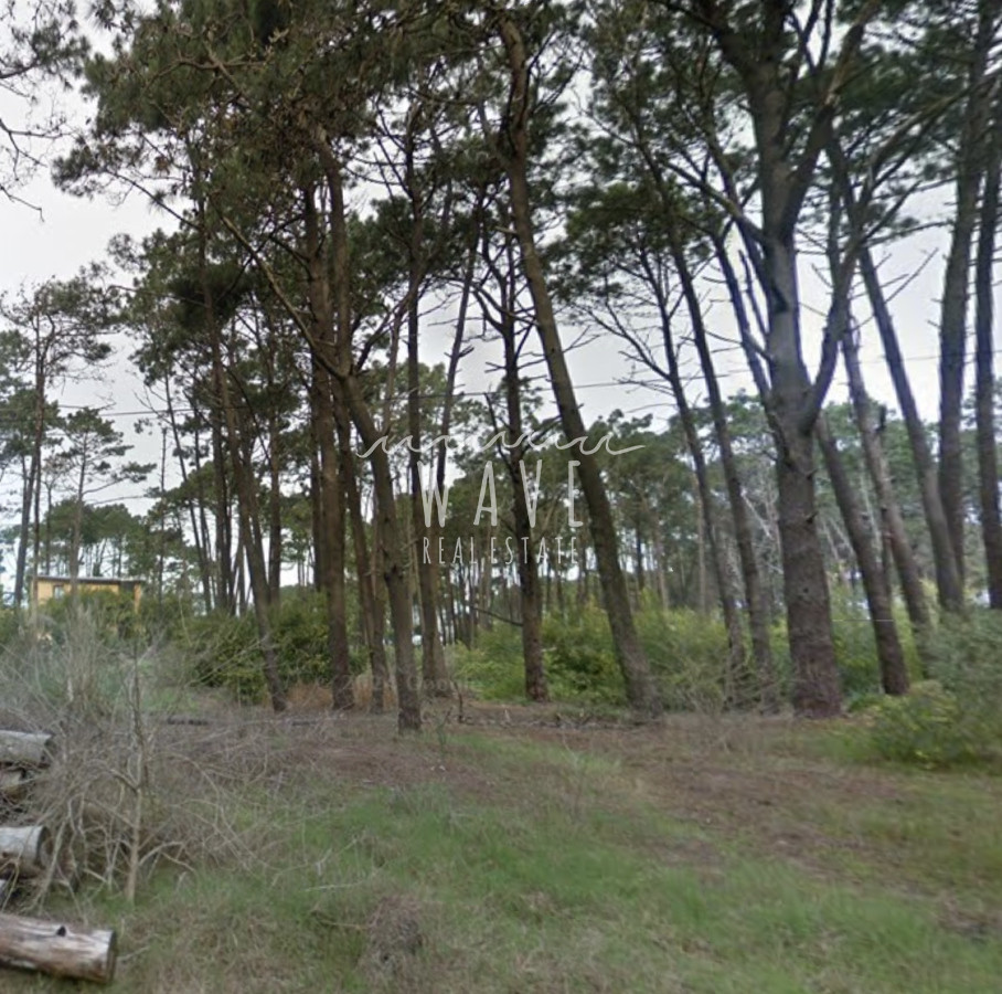 Terreno ID.4836 - OPORTUNIDAD TERRENO EN VENTA EN MONTOYA 455 M2