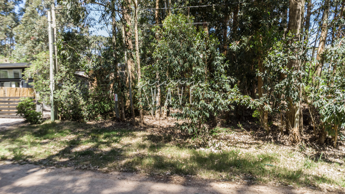 Terreno ID.5310 - Venta Lote La Juanita Jose Ignacio a 400 metros del mar