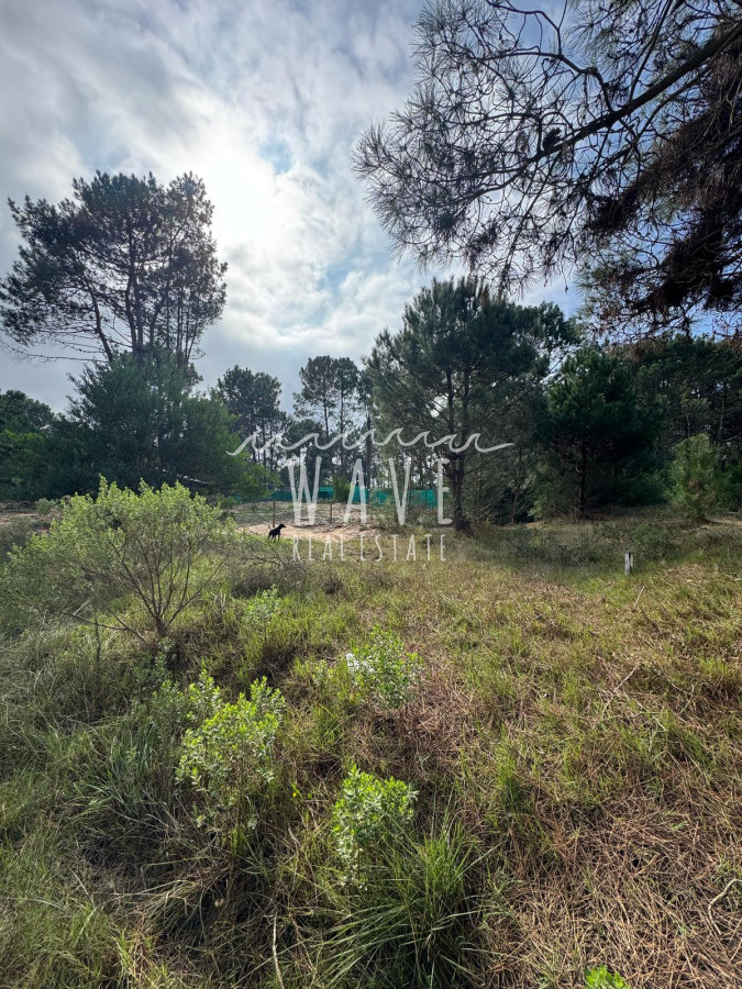 Terreno ID.4847 - Venta de Terreno en La Barra, 1666 Metros cuadrados