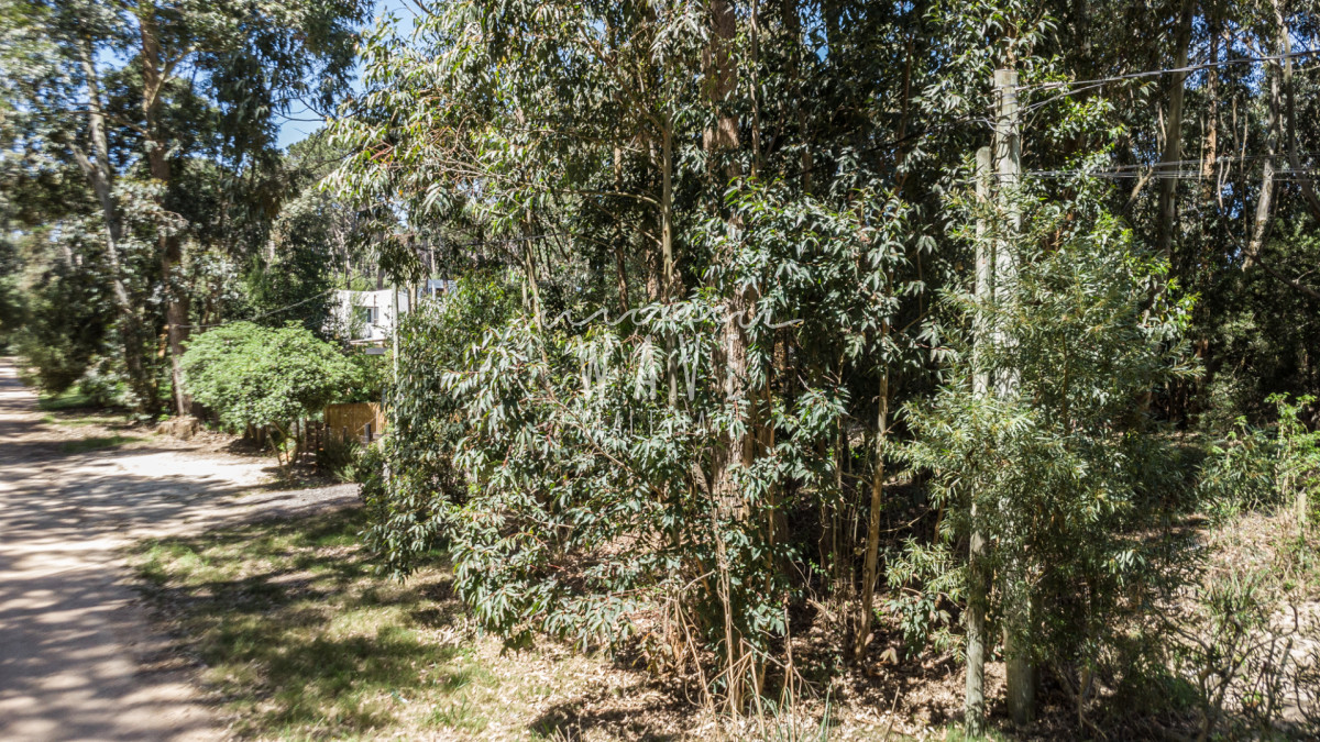 Terreno ID.5310 - Venta Lote La Juanita Jose Ignacio a 400 metros del mar