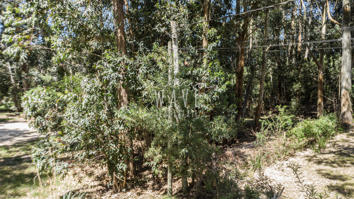 Terreno ID.5310 - Venta Lote La Juanita Jose Ignacio a 400 metros del mar