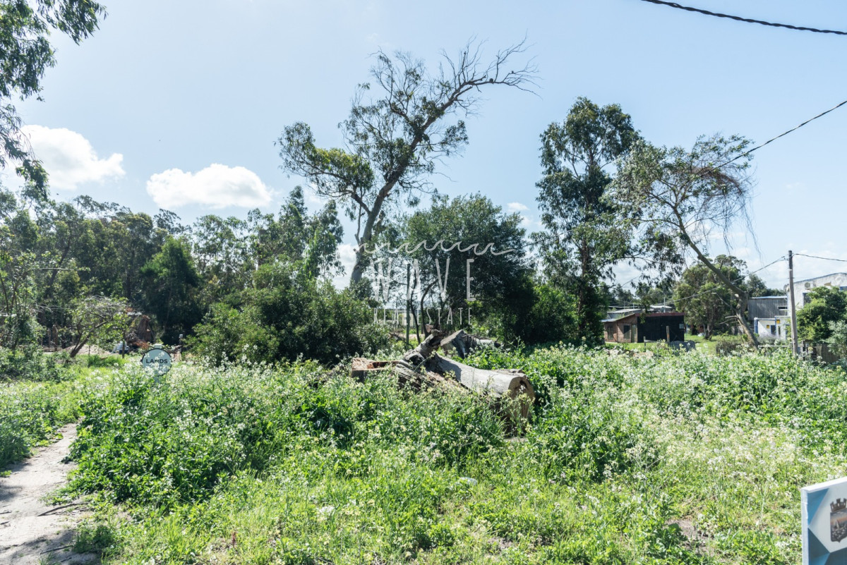 Terreno ID.5322 - Venta Lote Esquinero Santa Monica 