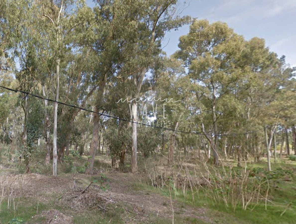 Terreno ID.4789 - Venta de Terreno en La Barra, zona Club de la Barra, 1000m2