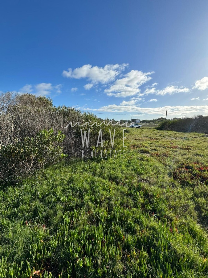 Terreno ID.4307 - Oportunidad de terreno en venta Santa Mónica 