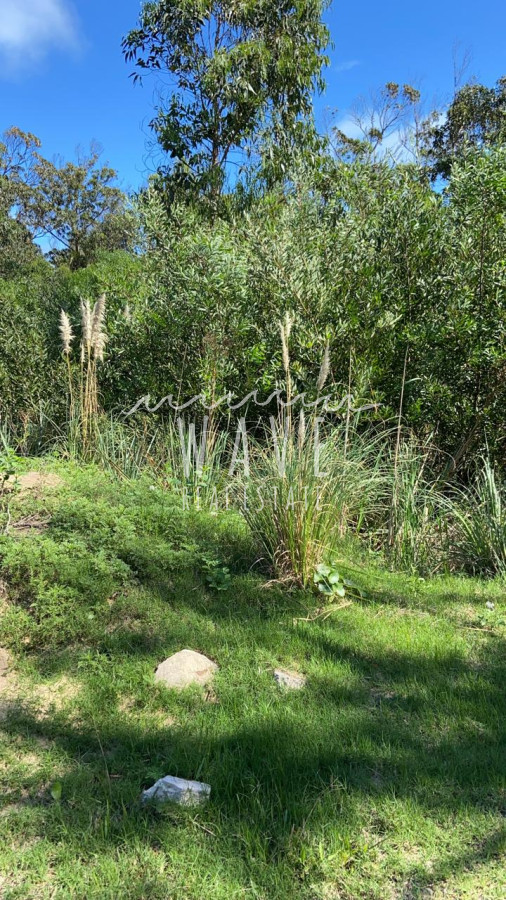 Terreno ID.4768 - OPORTUNIDAD-VENTA- Terreno en Santa Mònica- Josè Ignacio