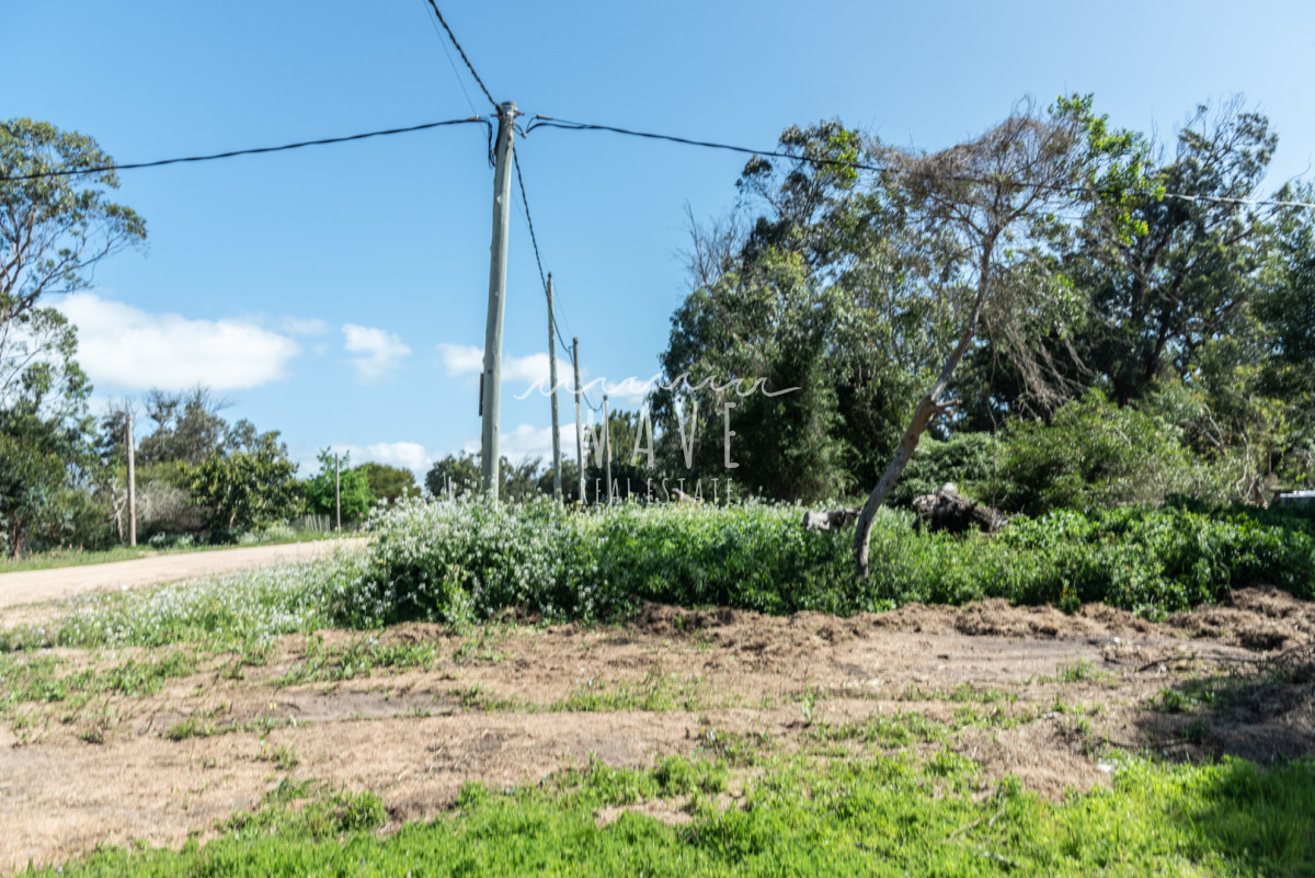 Terreno ID.5322 - Venta Lote Esquinero Santa Monica 