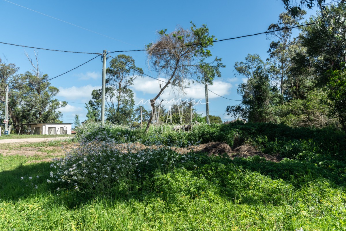 Terreno ID.5322 - Venta Lote Esquinero Santa Monica 