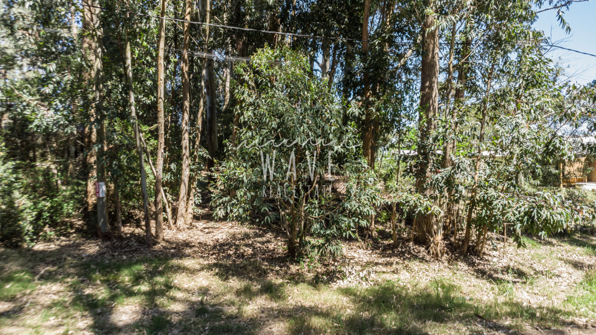 Terreno ID.5310 - Venta Lote La Juanita Jose Ignacio a 400 metros del mar