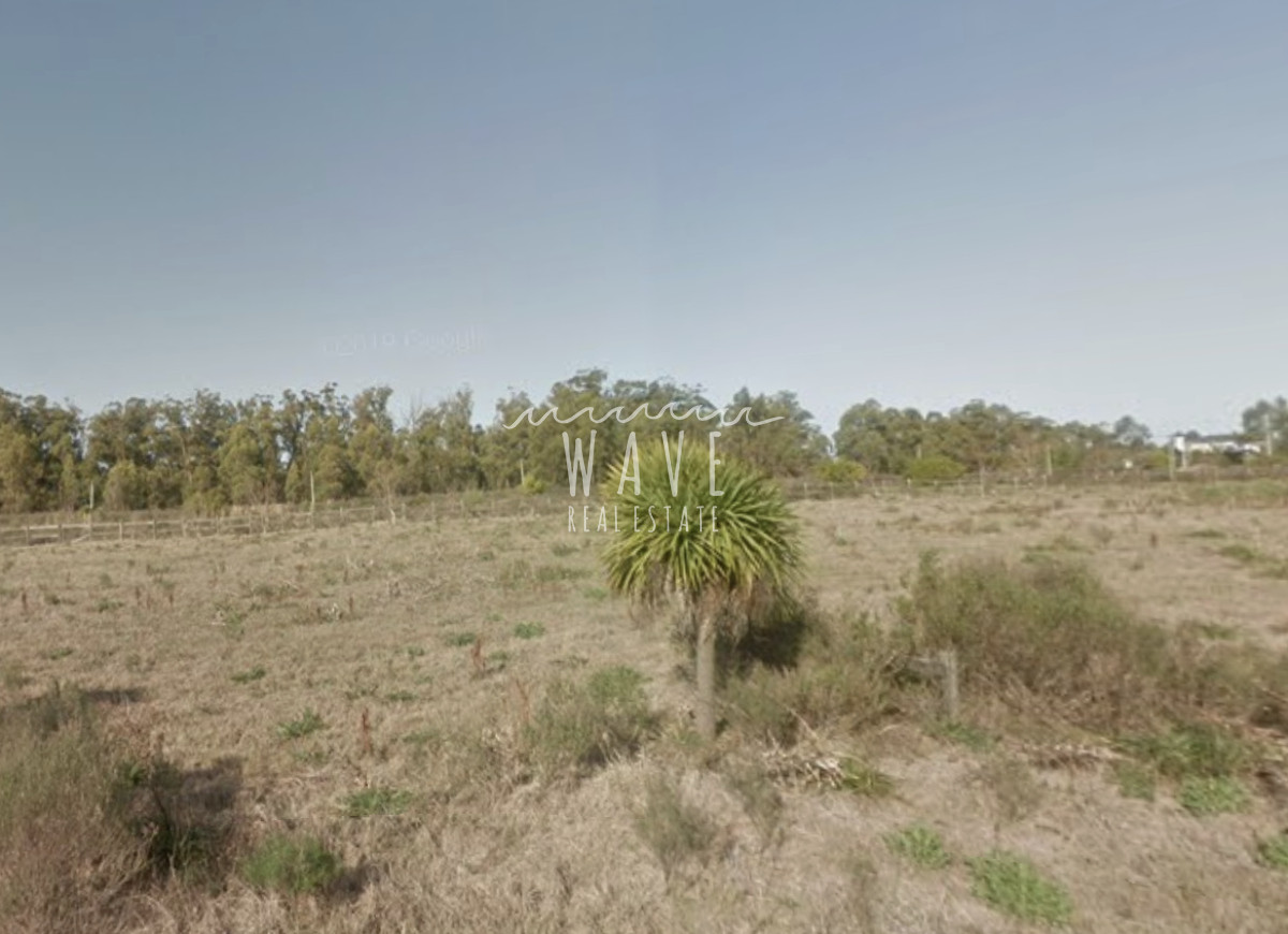 Terreno ID.4837 - Venta de Terreno Miramar Acres, con 900 metros cuadrados