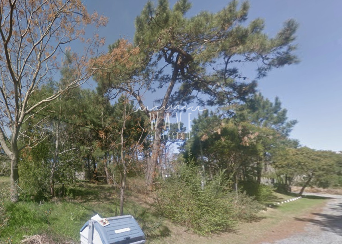 Terreno ID.4771 - Terreno en Venta, Punta del Este, Lugano, 719 m2