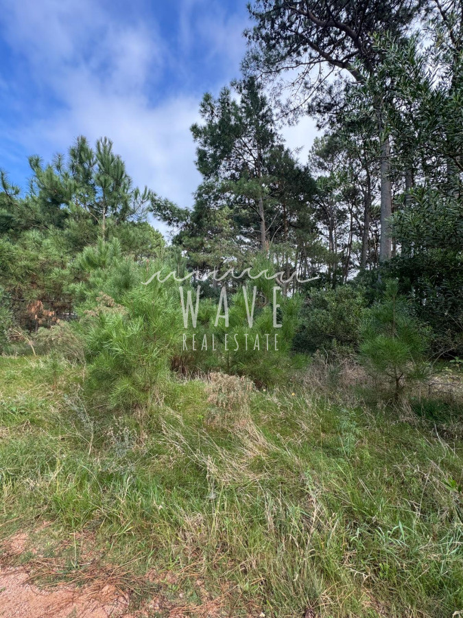 Terreno ID.4847 - Venta de Terreno en La Barra, 1666 Metros cuadrados