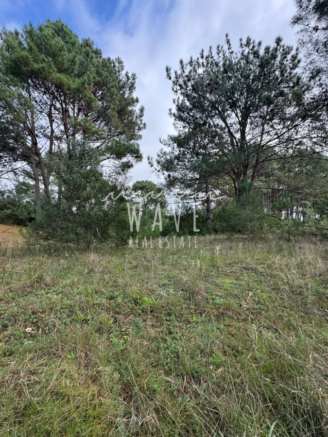Terreno ID.4847 - Venta de Terreno en La Barra, 1666 Metros cuadrados