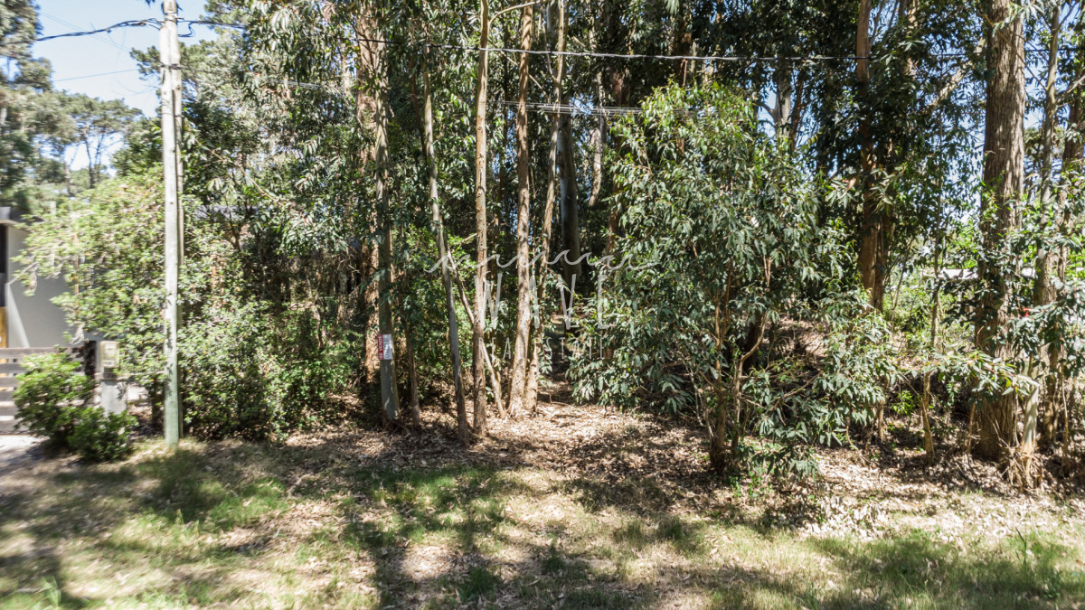 Terreno ID.5310 - Venta Lote La Juanita Jose Ignacio a 400 metros del mar