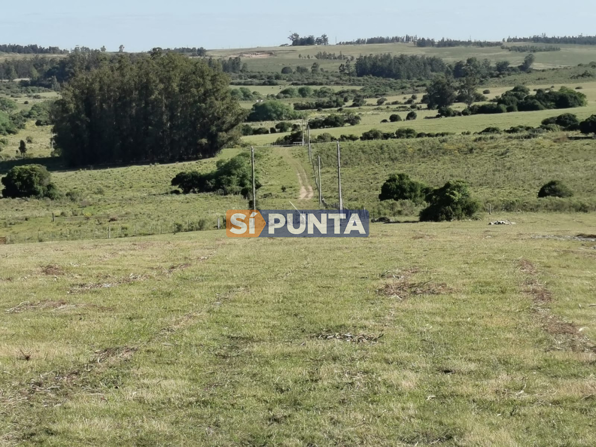 Hermosa chacra a 15 Kilómetros del Mar, Pan de Azúcar, Entre cerros. - SPT12456H