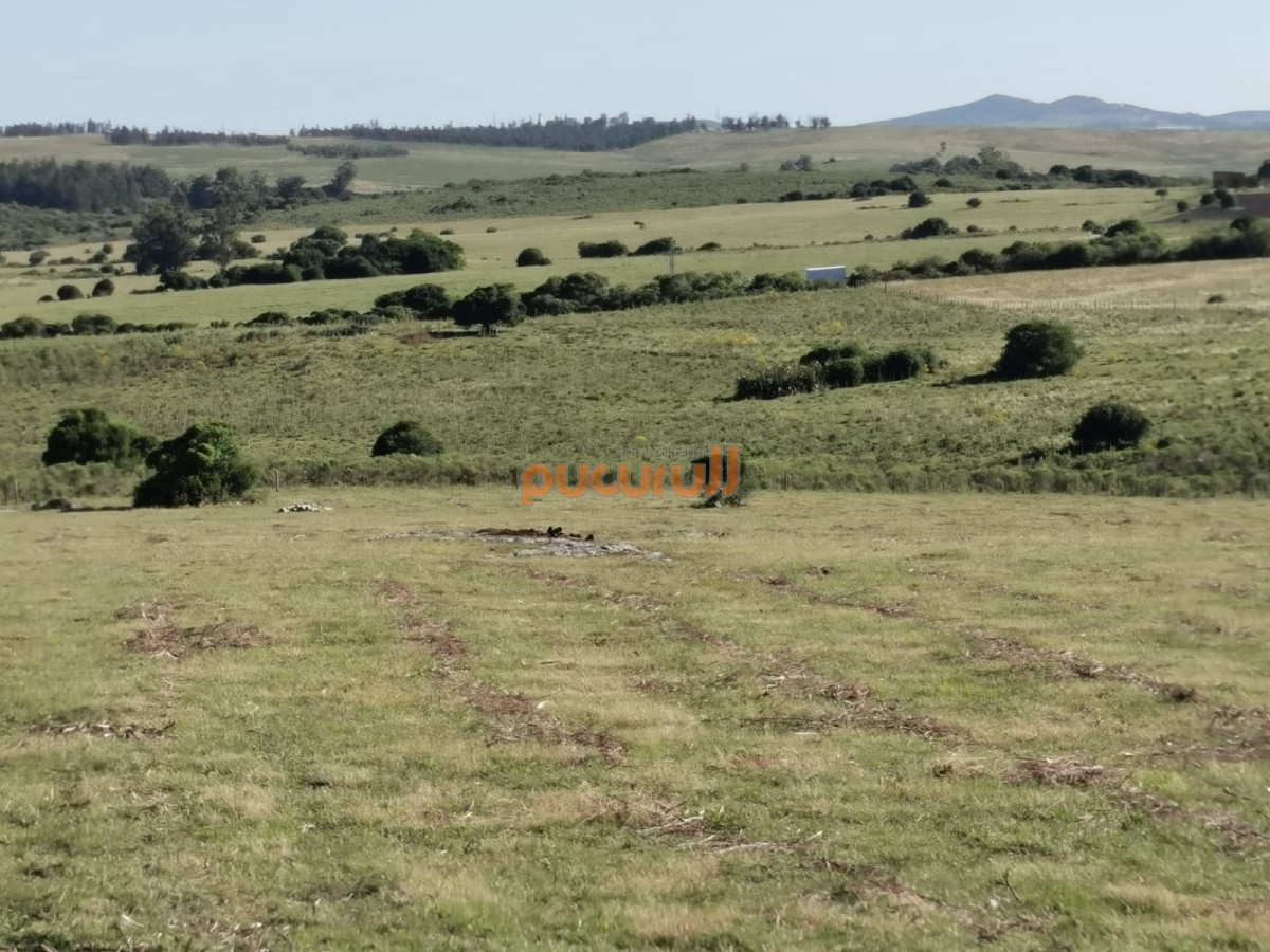 Chacra ID.1856 - Hermosa chacra a 15 Kilómetros del Mar, Pan de Azúcar 