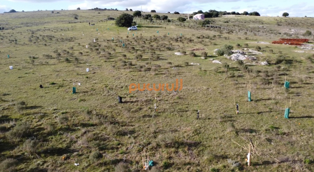 Chacra ID.1856 - Hermosa chacra a 15 Kilómetros del Mar, Pan de Azúcar 