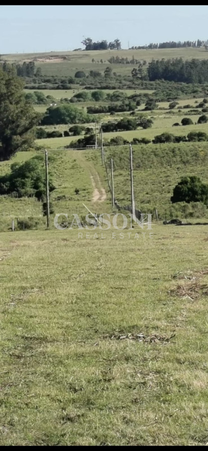 Chacra ID.3558 - Hermosa chacra a 15 Kilómetros del Mar, Pan de Azúcar, Entre cerros.