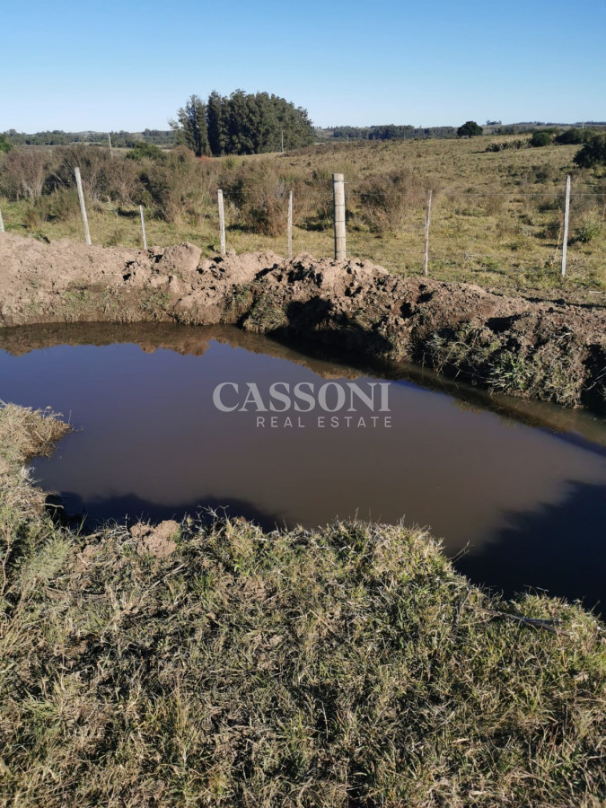 Chacra ID.3558 - Hermosa chacra a 15 Kilómetros del Mar, Pan de Azúcar, Entre cerros.