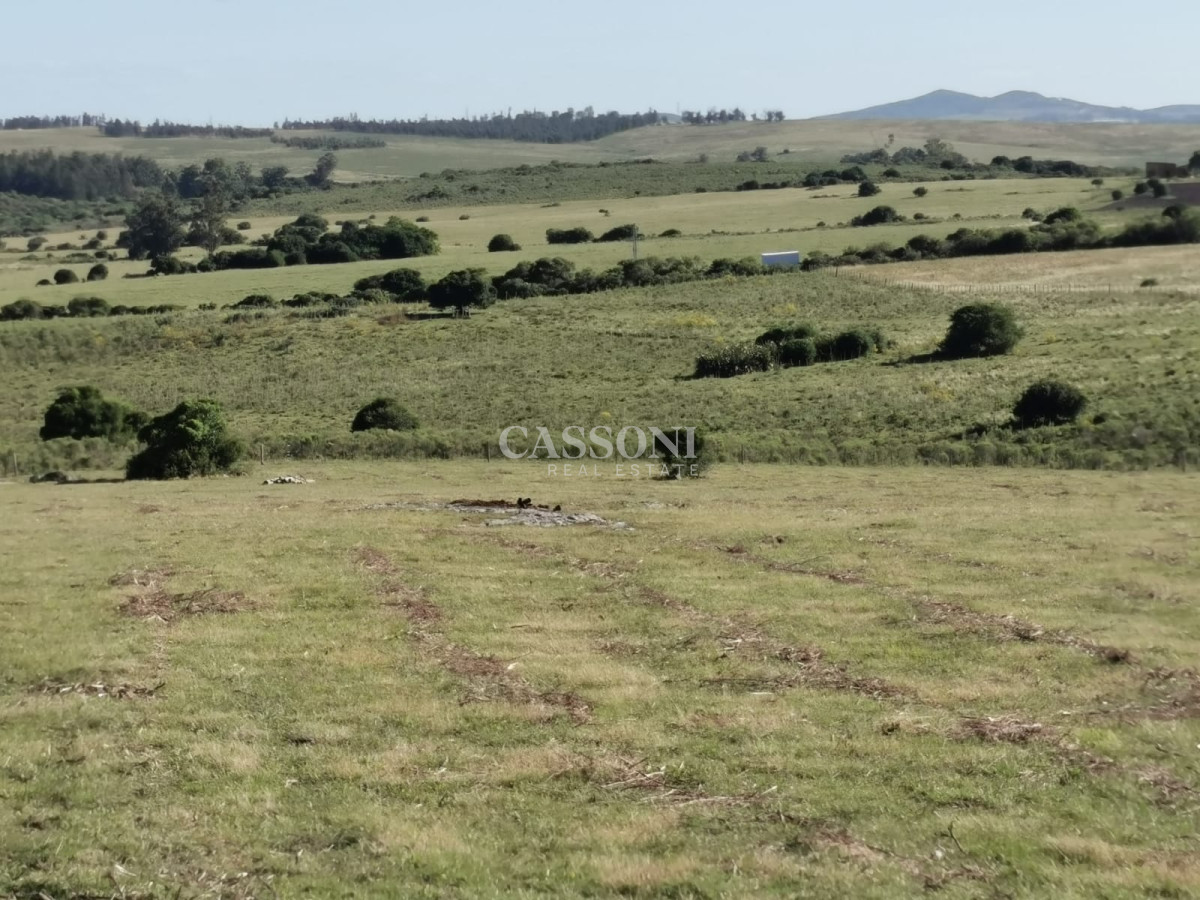Chacra ID.3558 - Hermosa chacra a 15 Kilómetros del Mar, Pan de Azúcar, Entre cerros.