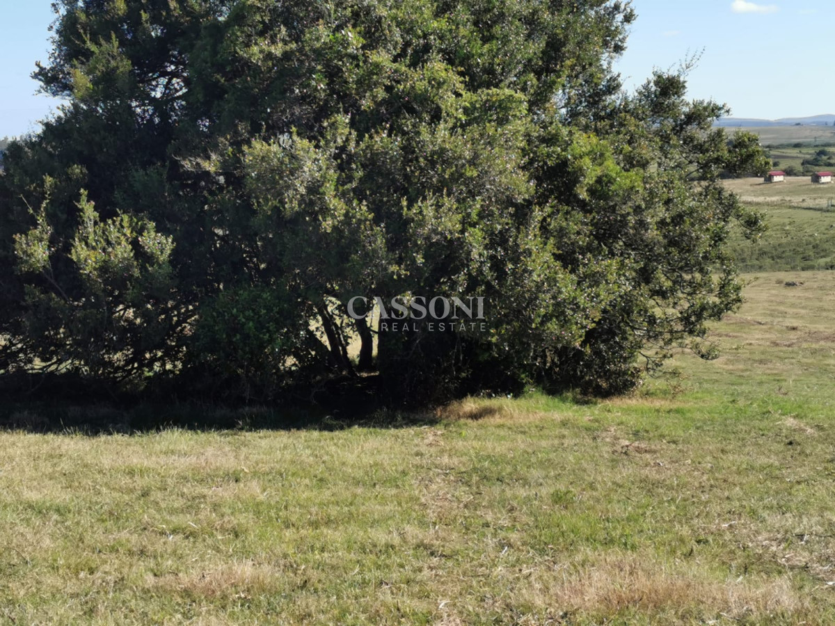 Chacra ID.3558 - Hermosa chacra a 15 Kilómetros del Mar, Pan de Azúcar, Entre cerros.
