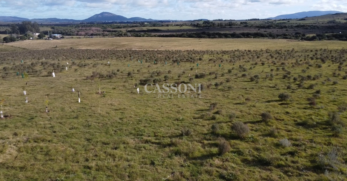 Chacra ID.3558 - Hermosa chacra a 15 Kilómetros del Mar, Pan de Azúcar, Entre cerros.
