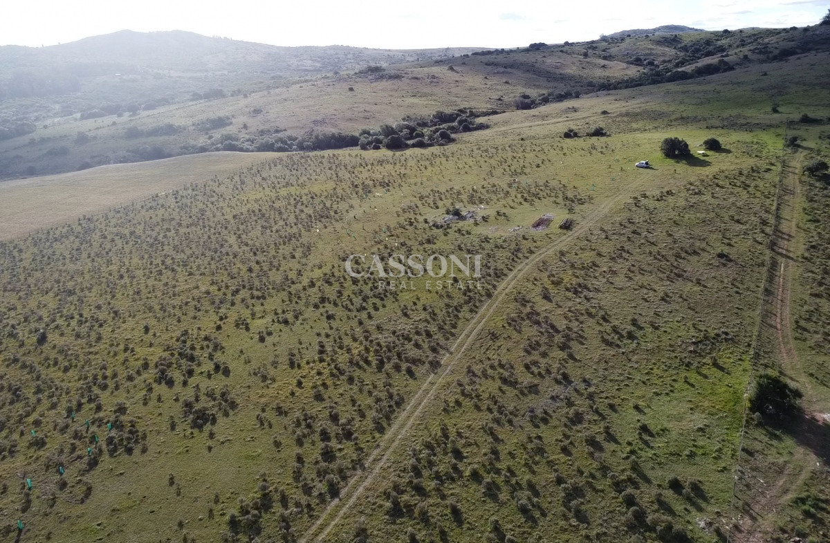 Chacra ID.3558 - Hermosa chacra a 15 Kilómetros del Mar, Pan de Azúcar, Entre cerros.