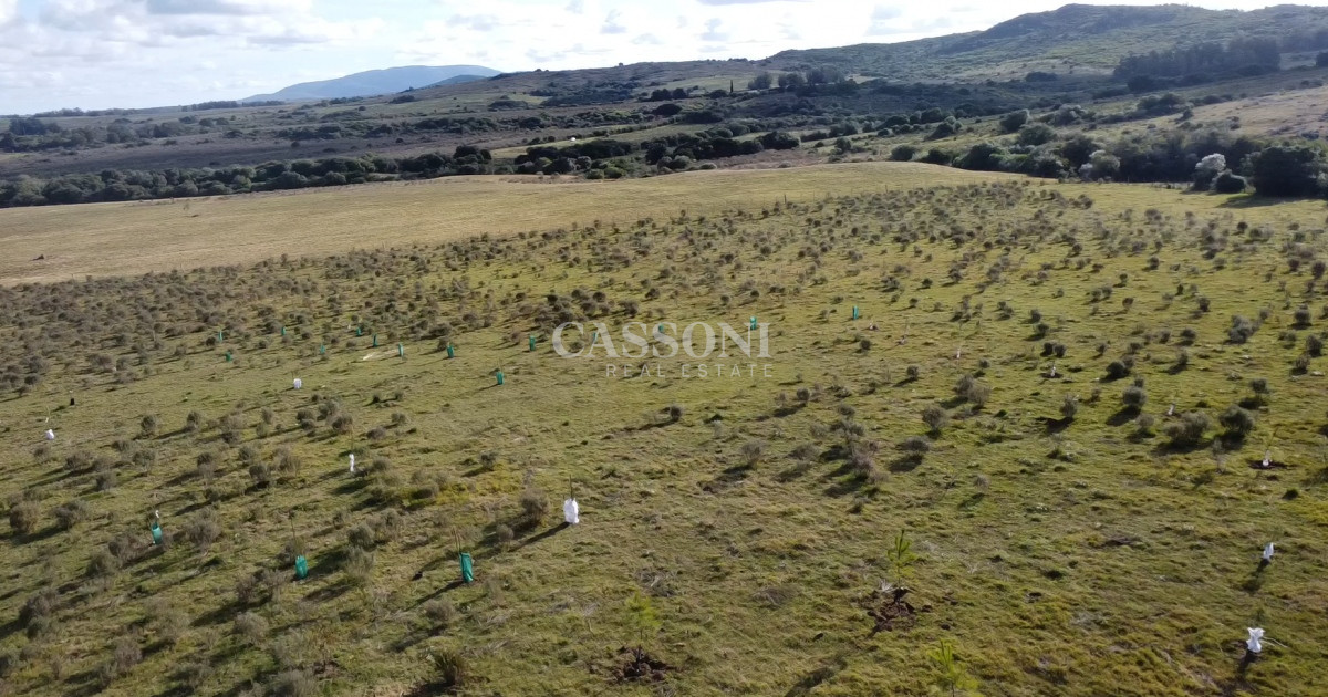 Chacra ID.3558 - Hermosa chacra a 15 Kilómetros del Mar, Pan de Azúcar, Entre cerros.