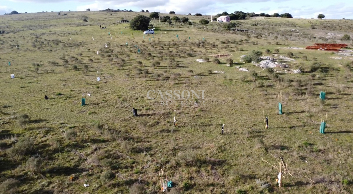 Chacra ID.3558 - Hermosa chacra a 15 Kilómetros del Mar, Pan de Azúcar, Entre cerros.