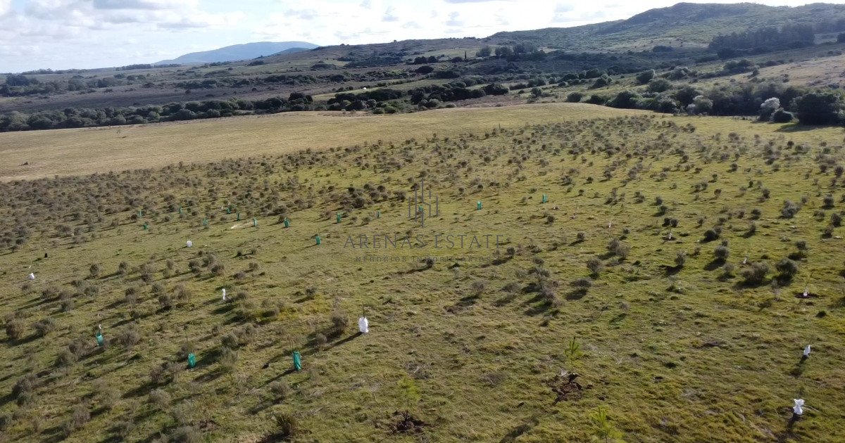 Chacra ID.1501 - Hermosa chacra a 15 Kilómetros del Mar, Pan de Azúcar 