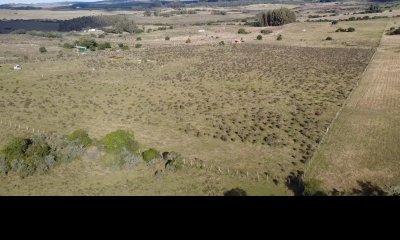 Venta de Chacra de 5 hectáreas a 15 Kilómetros del Mar en en Pan de Azúcar Maldonado C965