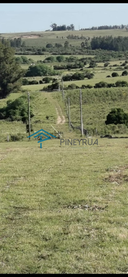 Chacra ID.183 - Hermosa chacra a 15 Kilómetros del Mar, Pan de Azúcar 