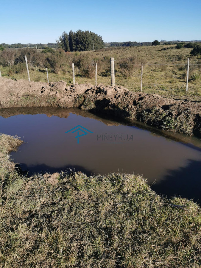 Chacra ID.183 - Hermosa chacra a 15 Kilómetros del Mar, Pan de Azúcar 