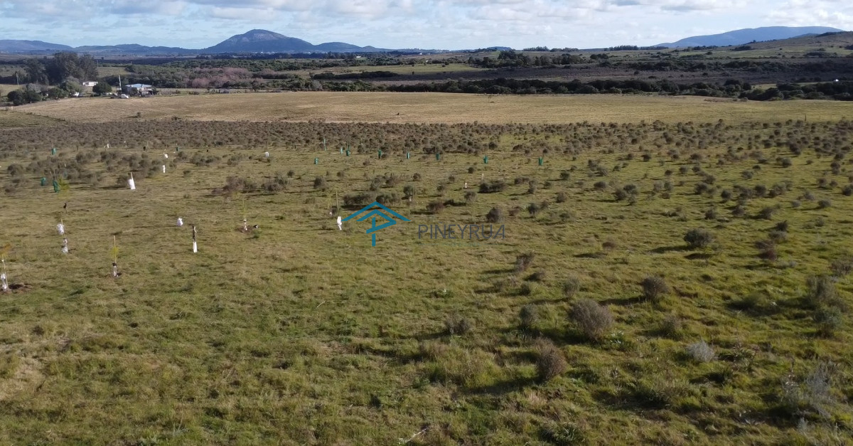 Chacra ID.183 - Hermosa chacra a 15 Kilómetros del Mar, Pan de Azúcar 