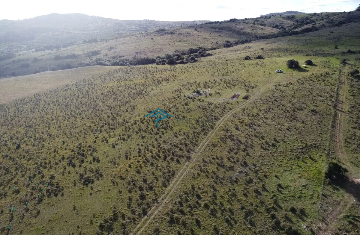 Chacra ID.183 - Hermosa chacra a 15 Kilómetros del Mar, Pan de Azúcar 