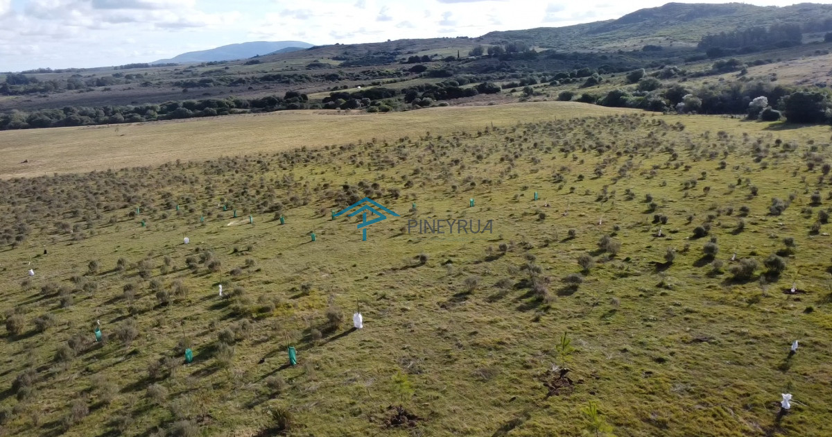 Chacra ID.183 - Hermosa chacra a 15 Kilómetros del Mar, Pan de Azúcar 