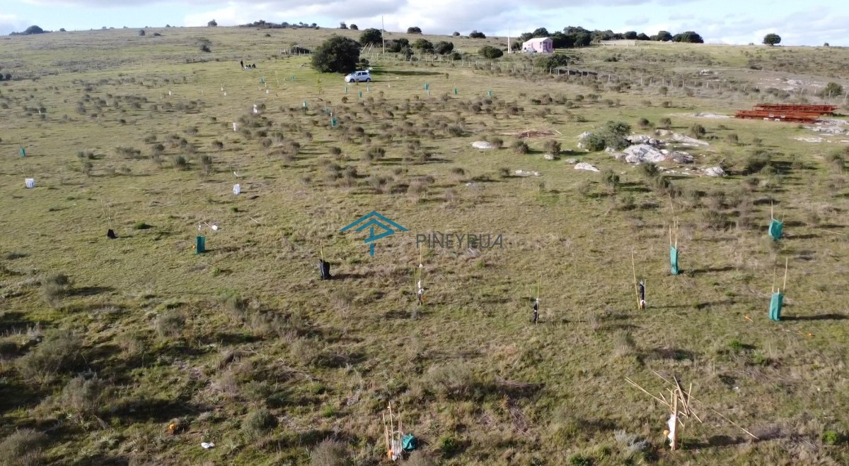 Chacra ID.183 - Hermosa chacra a 15 Kilómetros del Mar, Pan de Azúcar 