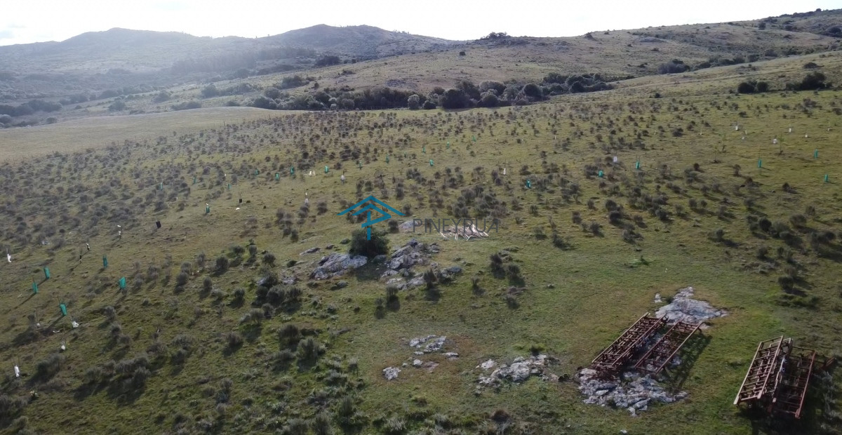 Chacra ID.183 - Hermosa chacra a 15 Kilómetros del Mar, Pan de Azúcar 