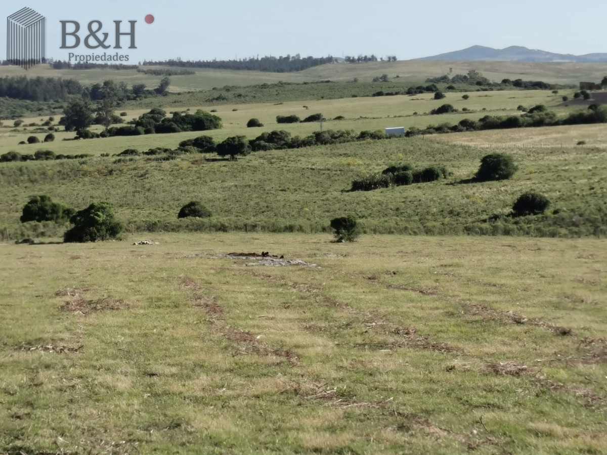 Chacra ID.619 - Hermosa chacra a 15 Kilómetros del Mar, Pan de Azúcar 