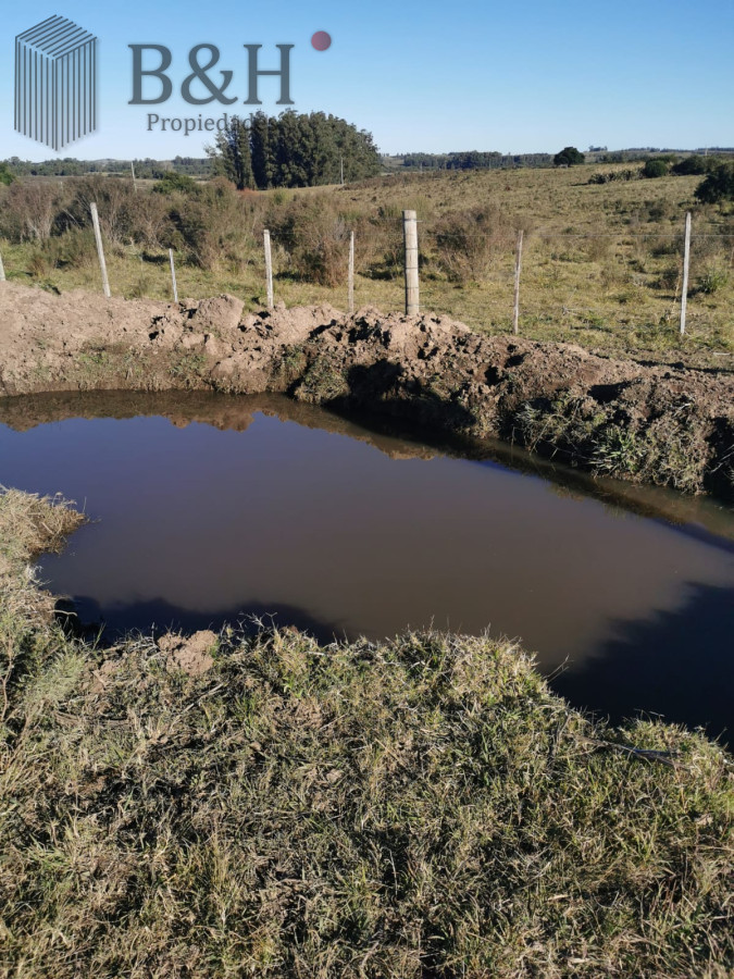 Chacra ID.619 - Hermosa chacra a 15 Kilómetros del Mar, Pan de Azúcar 
