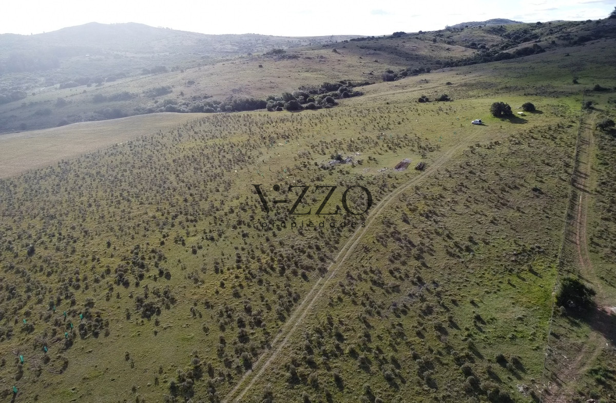 Chacra ID.1191/Hermosa-chacra-a-15-Kilómetros-del-Mar,-Pan-de-Azúcar,-Entre-cerros. - Hermosa chacra a 15 Kilómetros del Mar, Pan de Azúcar, Entre cerros.
