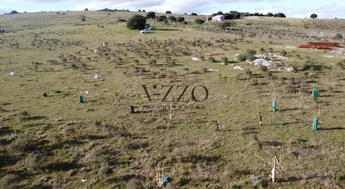 Chacra ID.1191/Hermosa-chacra-a-15-Kilómetros-del-Mar,-Pan-de-Azúcar,-Entre-cerros. - Hermosa chacra a 15 Kilómetros del Mar, Pan de Azúcar, Entre cerros.