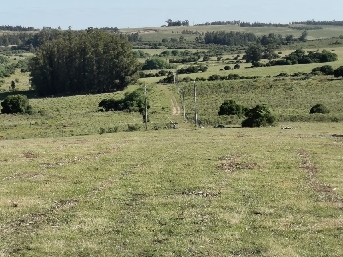 Hermosa chacra a 15 Kilómetros del Mar, Pan de Azúcar, Entre cerros.