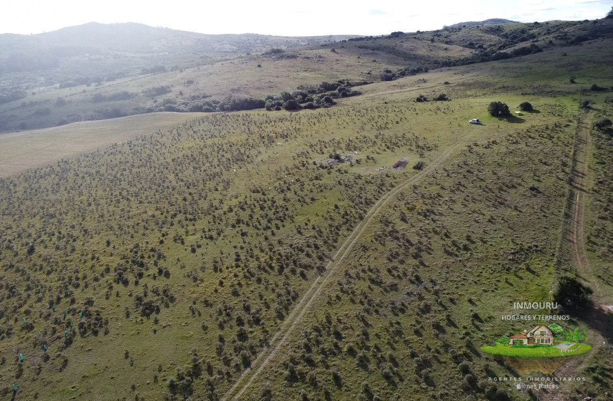 Chacra ID.802 - Hermosa chacra a 15 Kilómetros del Mar, Pan de Azúcar, Entre cerros.