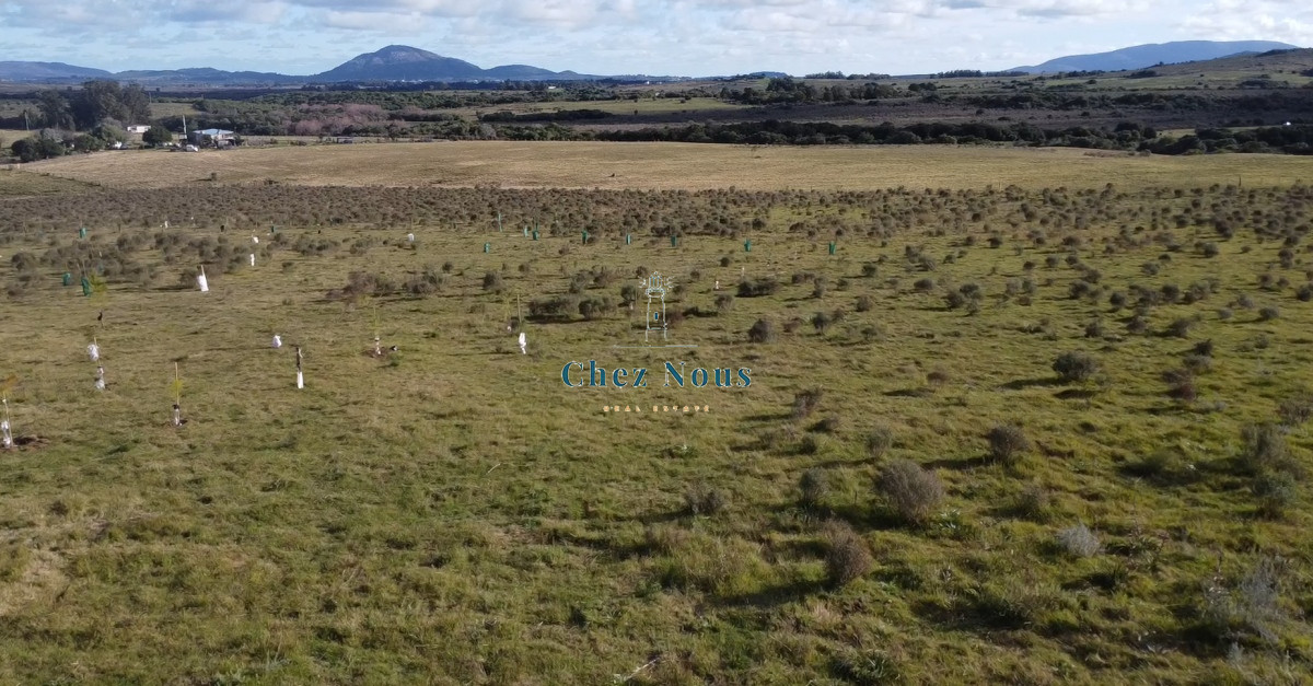 Chacra ID.1177 - Hermosa chacra a 15 Kilómetros del Mar, Pan de Azúcar, Entre cerros.