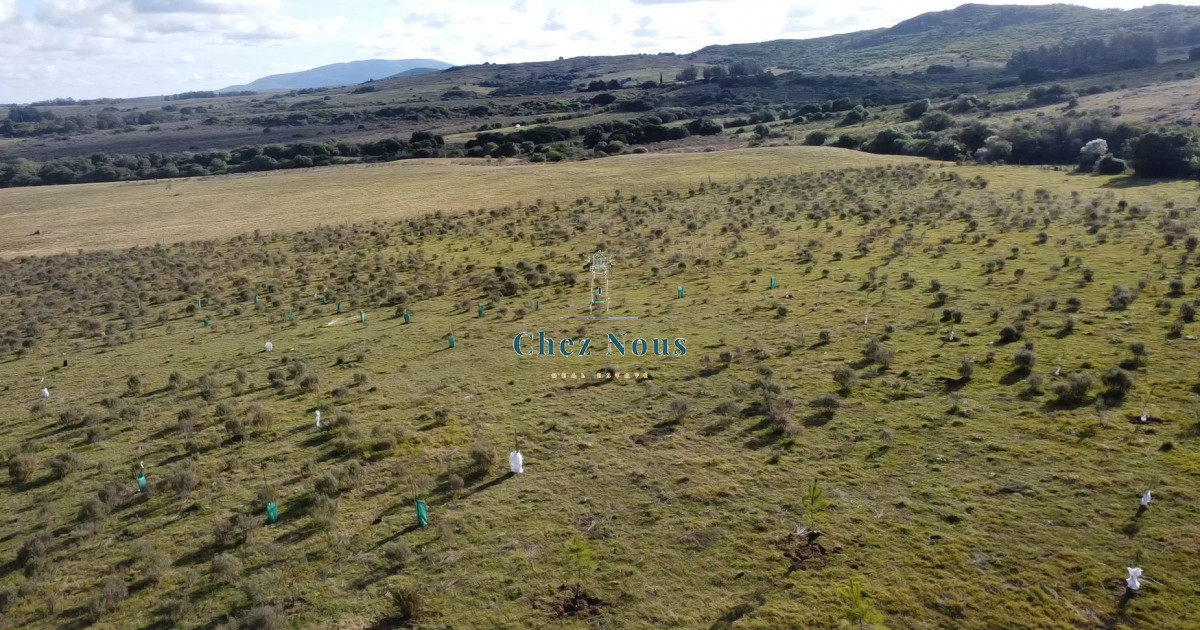 Chacra ID.1177 - Hermosa chacra a 15 Kilómetros del Mar, Pan de Azúcar, Entre cerros.