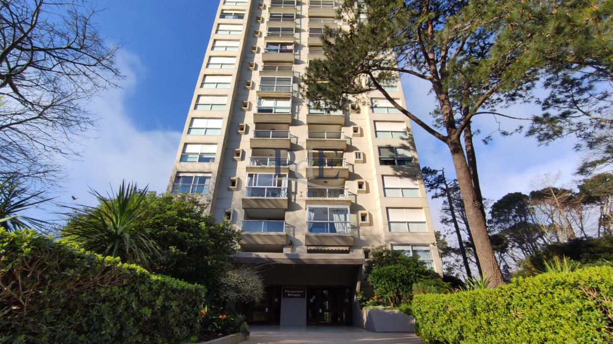 Apartamento reciclado de 2 dormitorios en Roosevelt - Imagen 30
