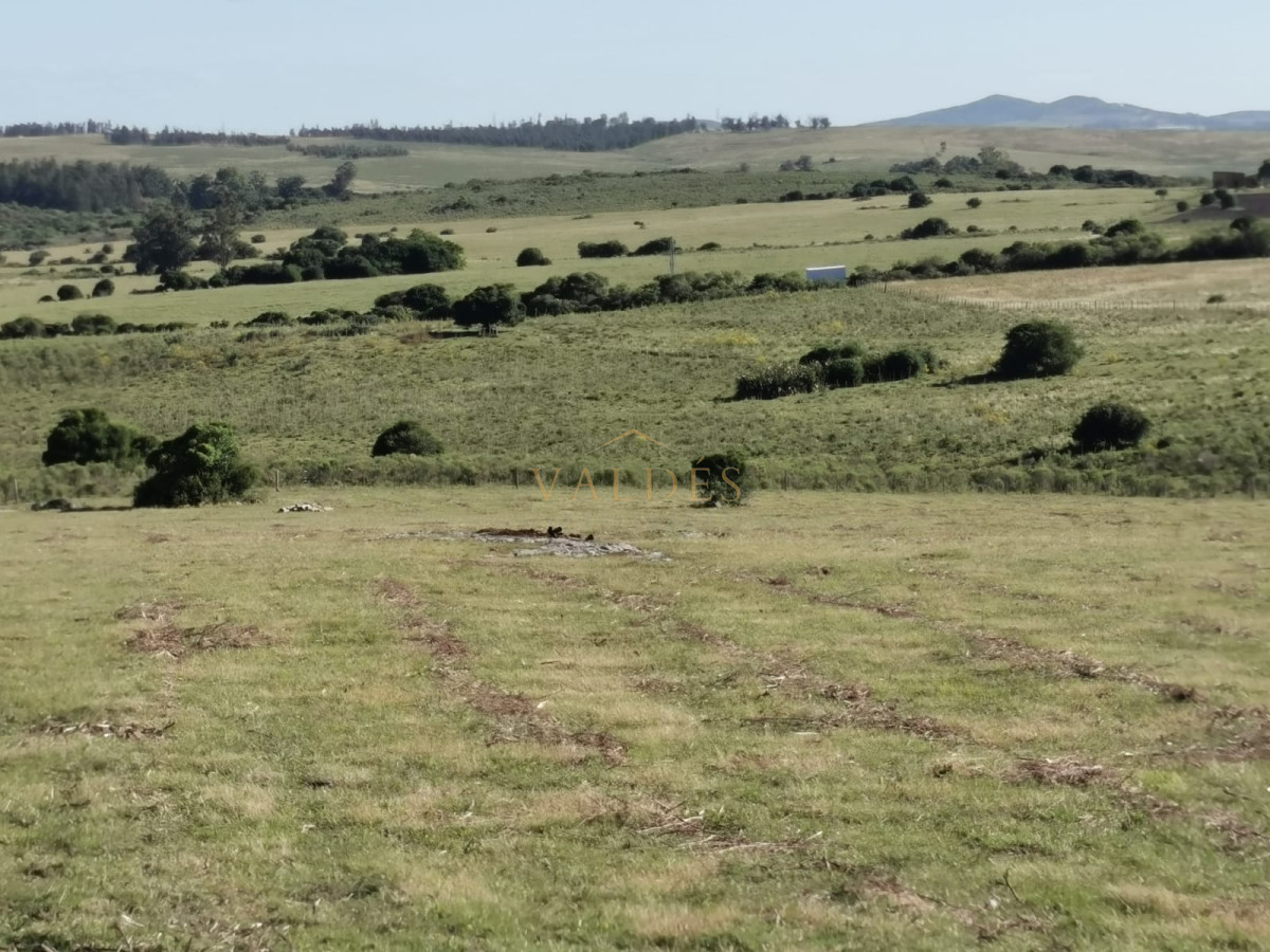 Chacra ID.5051 - Hermosa chacra a 15 Kilómetros del Mar, Pan de Azúcar, Entre cerros.