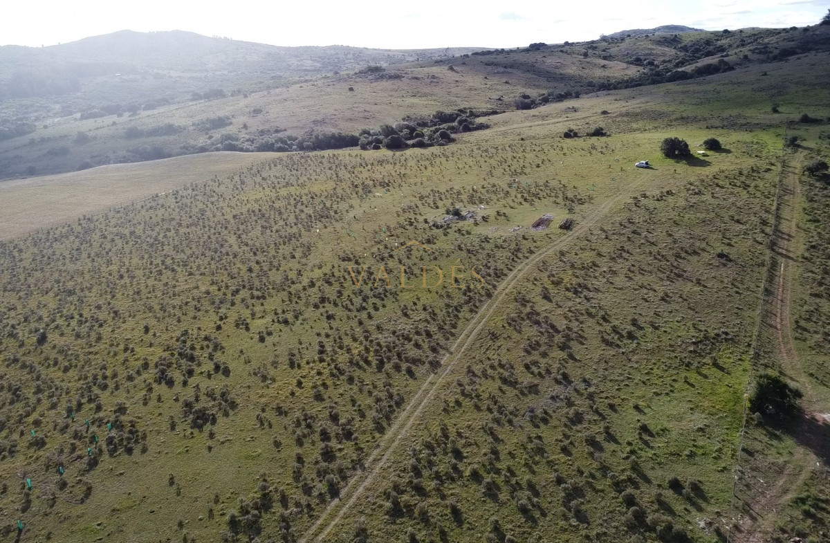 Chacra ID.5051 - Hermosa chacra a 15 Kilómetros del Mar, Pan de Azúcar, Entre cerros.